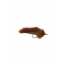Streamer Rat musqué tungstène